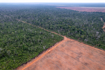 Illegal amazon deforestation drone panoramic aerial view, Mato Grosso, Brazil. Forest trees, soybeans agriculture field land. Concept of climate change, global warming, ecology, environment, nature.