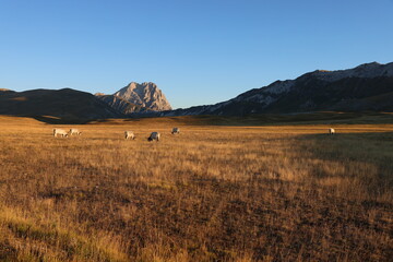 Fototapeta premium mountain landscape with lake