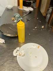 Dirty kitchen Consequences of cooking in a professional kitchen