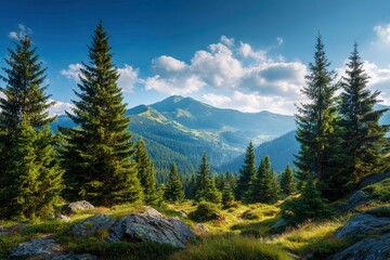 Mountain scene with green trees rocks grass and a large mountain range in the background under a blue cloudy sky