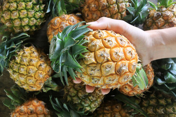 Pineapple on wooden grunge background