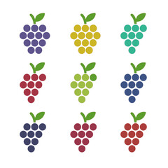 Grape Varietal Icons. Flat icon set of grape varietals: Cabernet Sauvignon, Chardonnay, Merlot, Pinot Noir, Sauvignon Blanc, Syrah