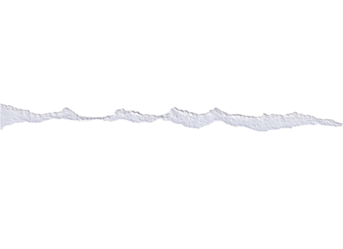 Ripped thin torn paper edges isolated on png background, Thin Torn Paper Strip with Rough Edge - Horizontal Isolated Minimalist Design Element and Copy Space Overlay
