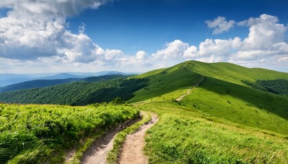 a winding trail through lush green hills in bieszczady under a bright blue sky with fluffy clouds perfect for outdoor activities and nature exploration