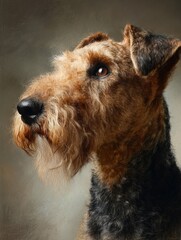 Airedale Terrier profile portrait against a neutral background highlighting its distinctive features and expressive gaze.