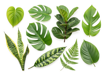 A perfect travel destination concept with a stylish sun hat and sunglasses resting on a tropical white sand beach by the clear sea.