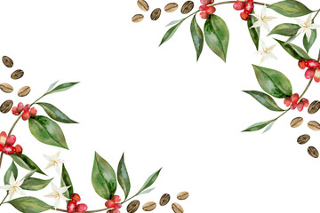 Coffee beans and branch with berries frame botanical illustration. Card design with coffee flowers and leaf. Watercolor botanical illustration isolated on white background.