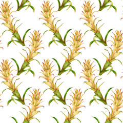 Yellow tropical flowers on white background. Watercolor succulent plant. Botanical watercolor seamless pattern illustration.