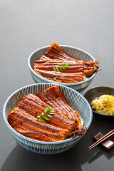 鰻丼　ウナギのかば焼き