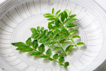 木の芽　山椒　料理のあしらい　彩り　つま