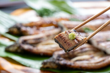 国産ウナギの白焼き