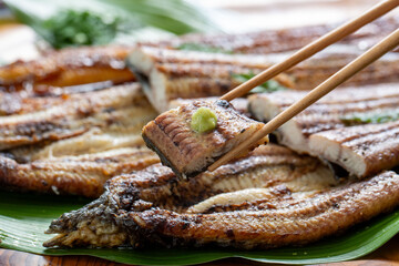 国産ウナギの白焼き