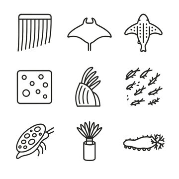 Filter-Feeding Icons Set. Outline icon set of Filter-feeding adaptations: baleen whale baleen plates, manta ray cephalic fins,