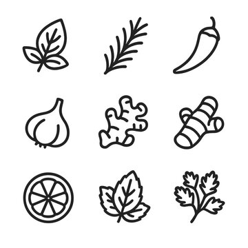 Herb and Spice Icons. Outline icon set of herb and spice pairings: basil leaf, rosemary sprig, chili pepper, garlic clove, ginger