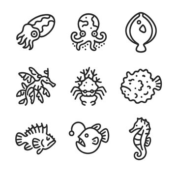 Marine Camouflage Icons. Outline icon set of Camouflage and mimicry: cuttlefish pattern, octopus skin change, flounder outline,