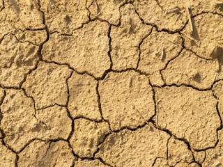Close-up of cracked dry earth, symbolizing drought, water scarcity, and the effects of climate change on soil and agriculture
