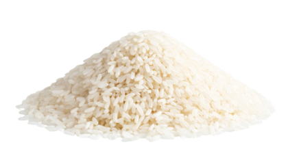 rice on white background