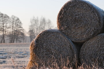 frosty straw bales