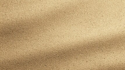 Sandy beach texture