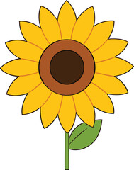 sunflower clipart vector illustration on transparent background