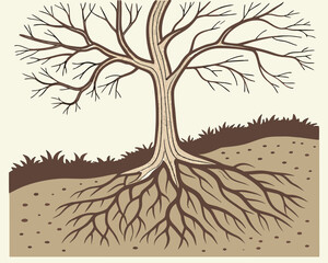 Tree Roots Underground Cross Section | Tree Structure with Underground Roots