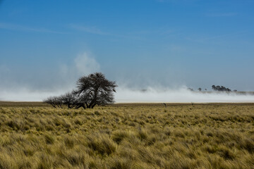 Strong wind blowing in a salt flat in La Pampa province, Patagonia, Argentina.