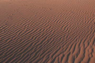 Natural designs and shapes in the sand, caused by the wind.