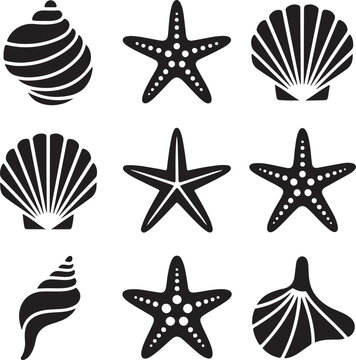 Black and white graphic icons of seashells and starfishes
