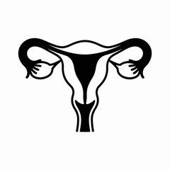 uterus, female, anatomy, reproductive, health, icon, vector, outline, gynecology, womb, fertility, ovary, organ, biology, medical, diagram, structure, woman, pelvic, system, cervix, menstrual, pregnan
