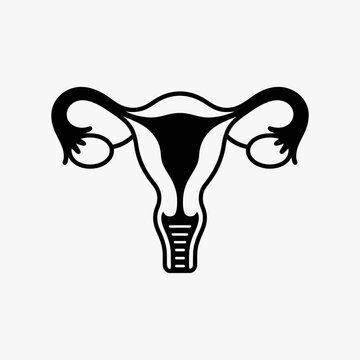 uterus, female, anatomy, reproductive, health, icon, vector, outline, gynecology, womb, fertility, ovary, organ, biology, medical, diagram, structure, woman, pelvic, system, cervix, menstrual, pregnan