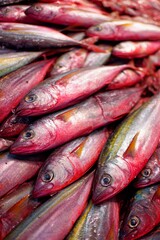 Obraz premium Vibrant red and yellow fish are arranged neatly at a market stall, capturing attention with their fresh appearance. The early morning light enhances their colors, enticing buyers