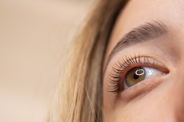 Close-up of a woman's eye after eyelash lamination procedure. 