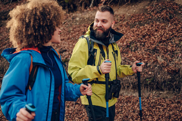 Hikers walking in forest using trekking poles and backpacks