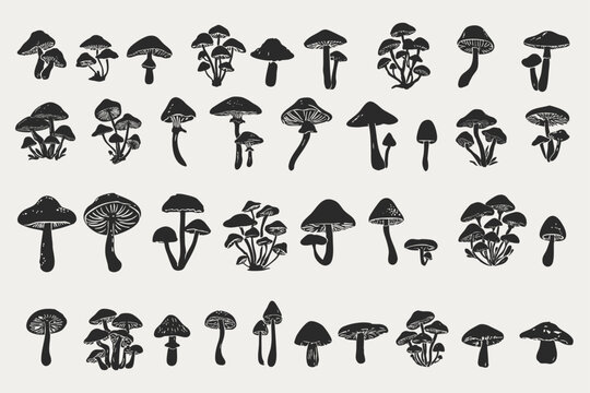 Mushroom Clipart Set &ndash; Hand-Drawn Linocut Style Autumn Forest Mushrooms for DIY, Crafts & Rustic Design