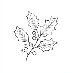 Fototapeta premium holly berry drawing on white background