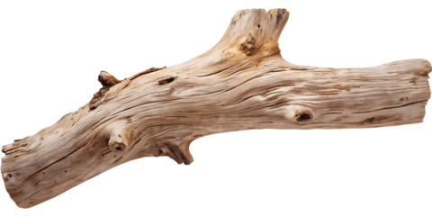 Weathered wood log textured isolated on a transparent background