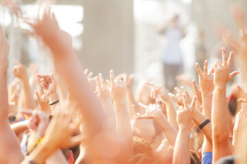 people at the concert