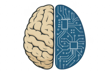 Human brain merging with electronic circuit on transparent background