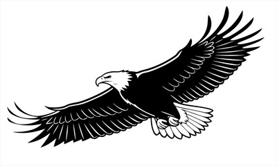 Obraz premium Majestic Bald Eagle Soaring with Wings Spread Wide Silhouette 