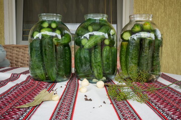 Pickled cucumbers in a jar with garlic, bay leaf, pepper and dill on the embroidered tablecloth,...
