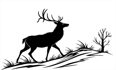 silhouette of a deer