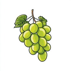 Cartoon drawing of a bunch of green grapes