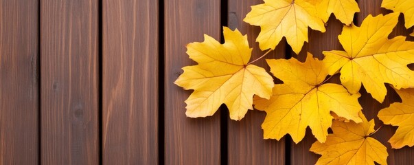Autumnal Maple Leaves on Rustic Wood, Autumn , Fall