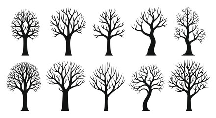 Obraz premium Bare deciduous trees collection black and white silhouettes bare trees