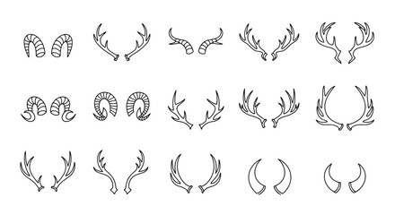 Fototapeta premium Various animal horns and antlers collection deer goat