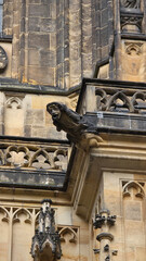 Gargoyle Detail at St. Vitus Cathedral