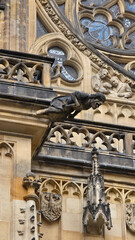 Gargoyle and Relief on Gothic Cathedral Wall
