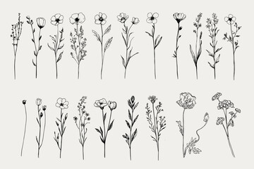 Wildflower Clipart Bundle &ndash; Hand-Drawn Botanical Vector Set 
