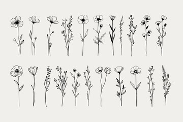 Wildflower Clipart Bundle – Hand-Drawn Botanical Vector Set 