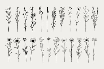 Wildflower Clipart Bundle &ndash; Hand-Drawn Botanical Vector Set 